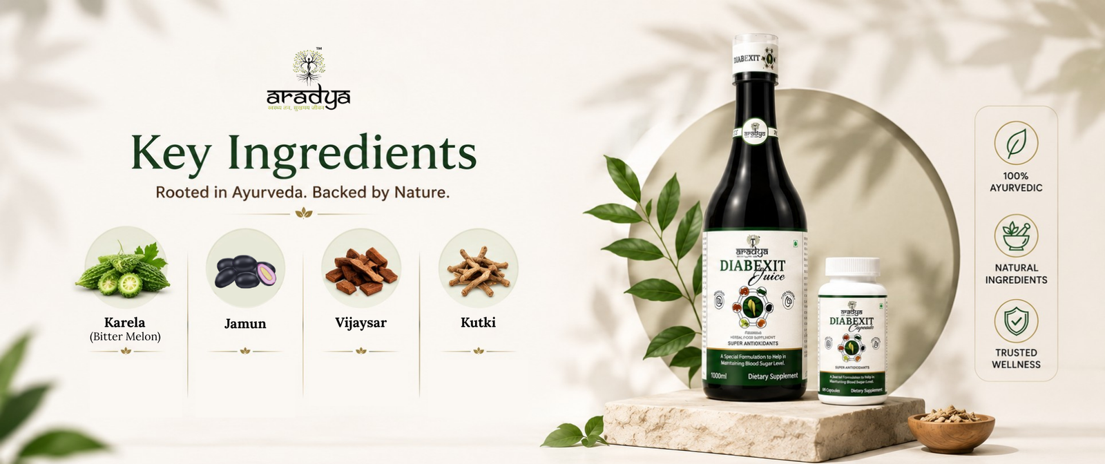 Ayurvedic Support for a Daily Blood Sugar Wellness Routine Feature