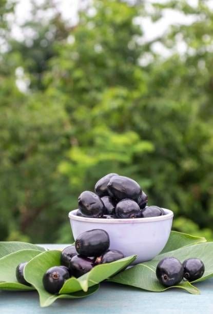 Jamun Seed